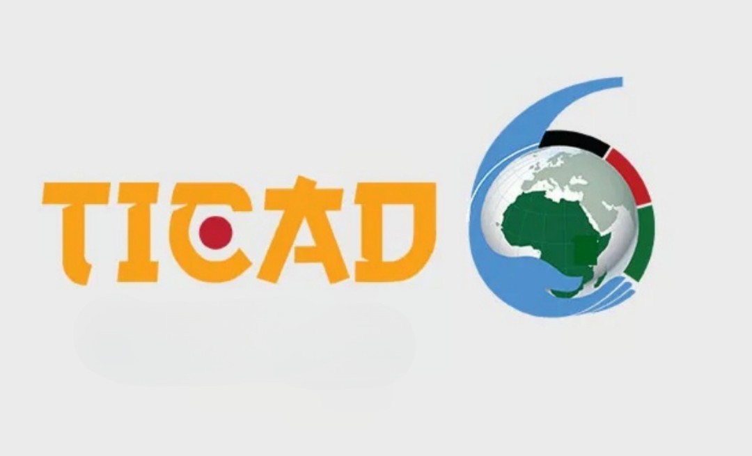 بعد مرور سنة على انعقاد "تيكاد 8"..  تمويلات بـ 30 مليار دولار لدول إفريقيا و92 مذكرة تفاهم 6 منها لتونس